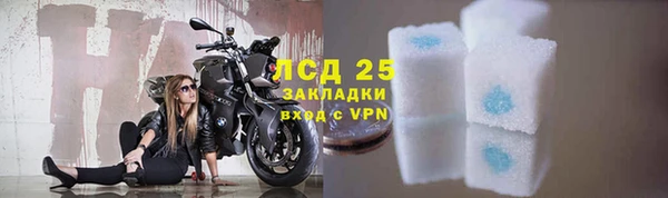 тгк Дмитриев