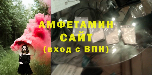 тгк Дмитриев