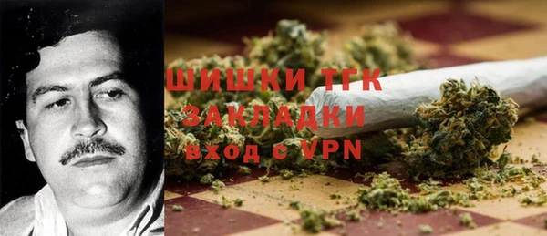 тгк Дмитриев