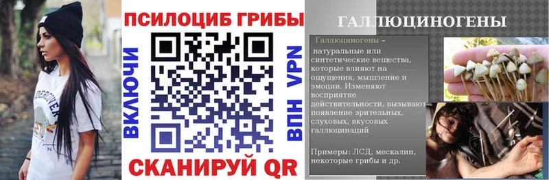 Псилоцибиновые грибы прущие грибы  blacksprut рабочий сайт  Каргополь 